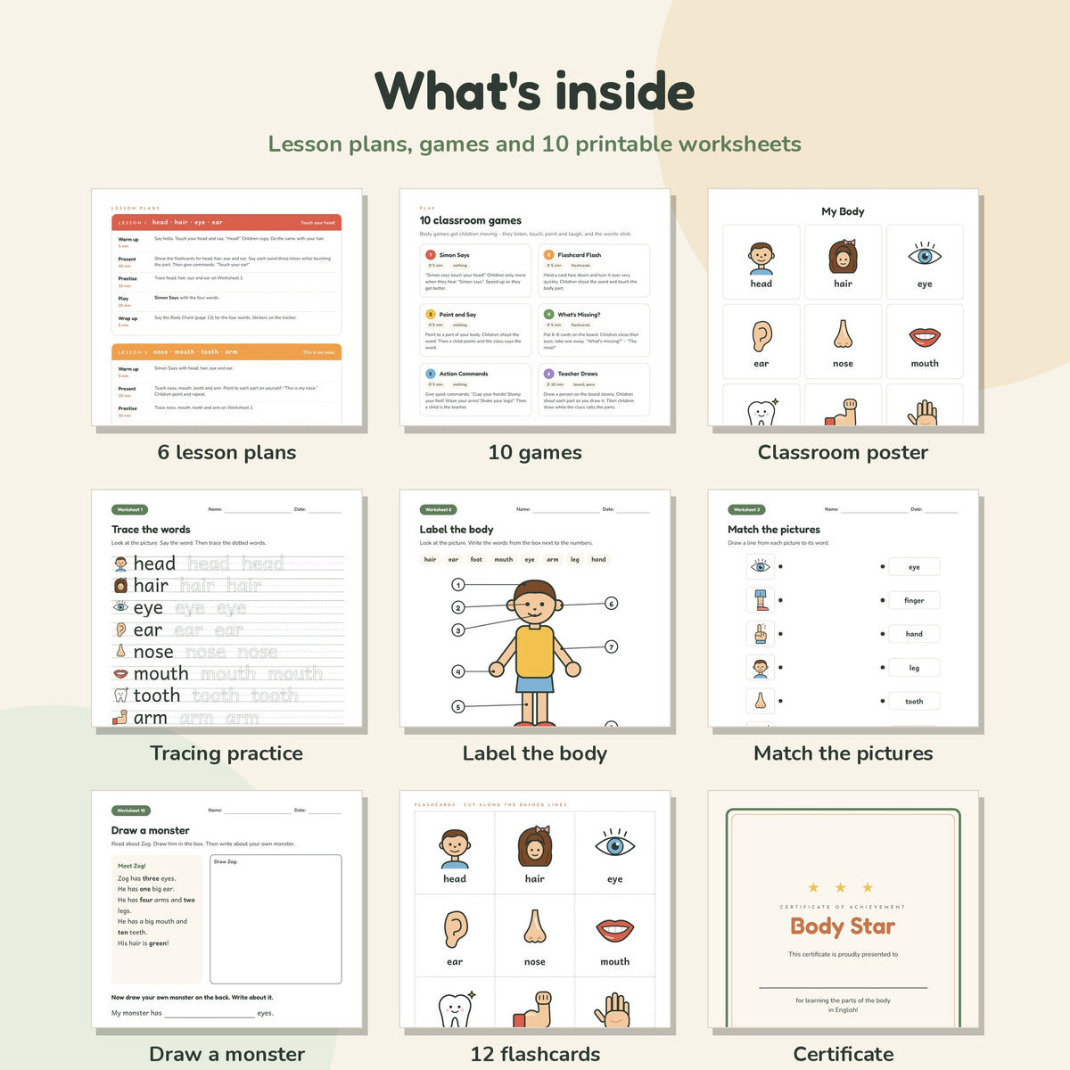 Body Parts worksheets, flashcards and lesson plans preview
