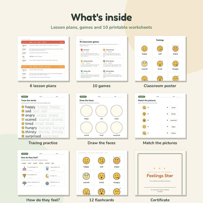 Feelings worksheets, flashcards and lesson plans preview
